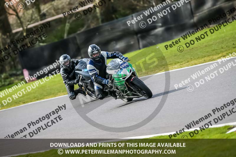 Oulton Park 21st March 2020;PJ Motorsport Photography 2020;anglesey;brands hatch;cadwell park;croft;donington park;enduro digital images;event digital images;eventdigitalimages;mallory;no limits;oulton park;peter wileman photography;racing digital images;silverstone;snetterton;trackday digital images;trackday photos;vmcc banbury run;welsh 2 day enduro